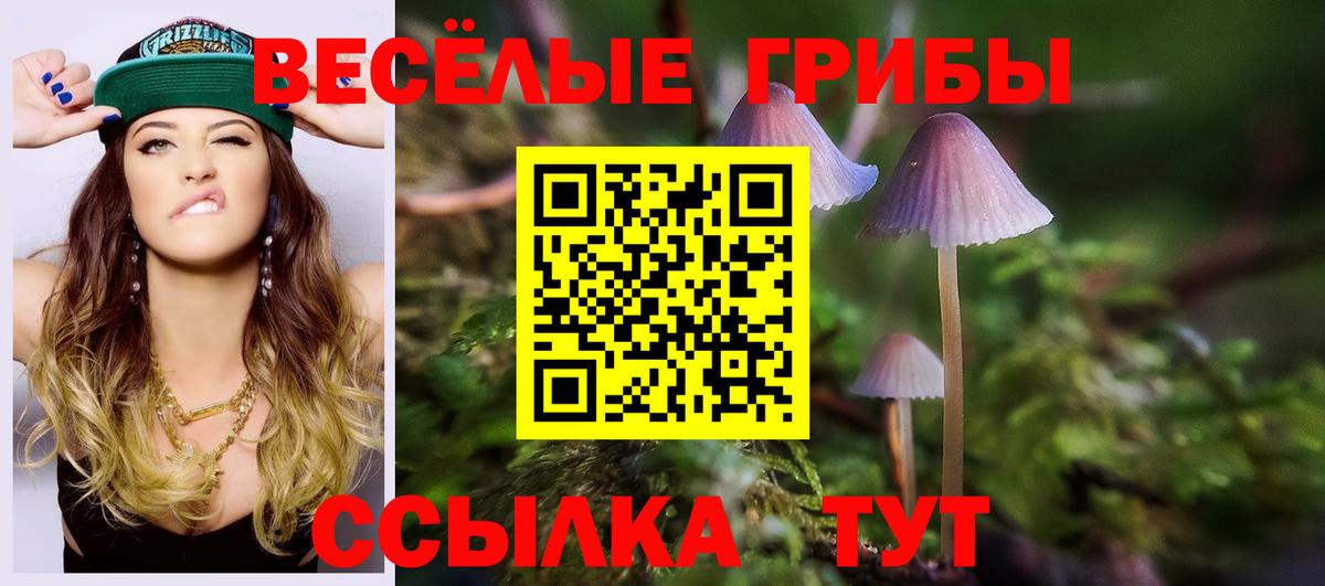 Псилоцибиновые грибы MAGIC MUSHROOMS Воткинск
