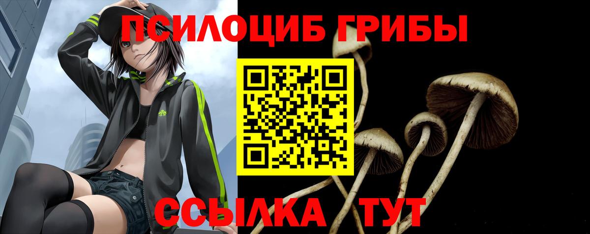 Галлюциногенные грибы MAGIC MUSHROOMS  Вход с VPN  Воткинск 